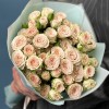 11 кустовых кремовых роз Рослин 40 см
