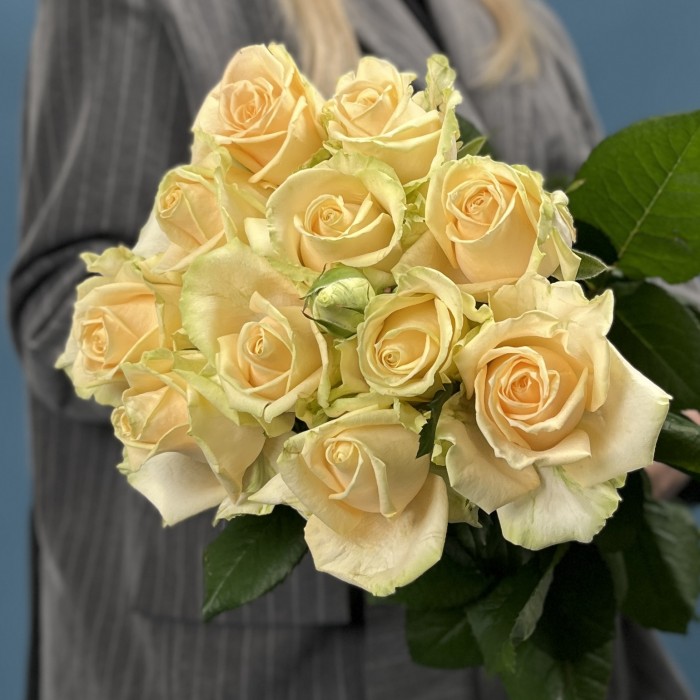 11 персиковых роз Пич Аваланш 60 см