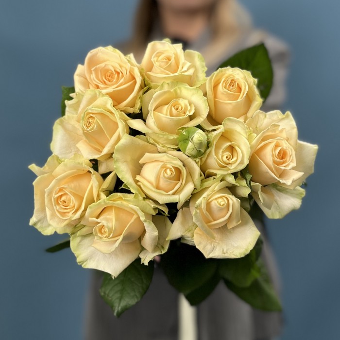 11 персиковых роз Пич Аваланш 60 см