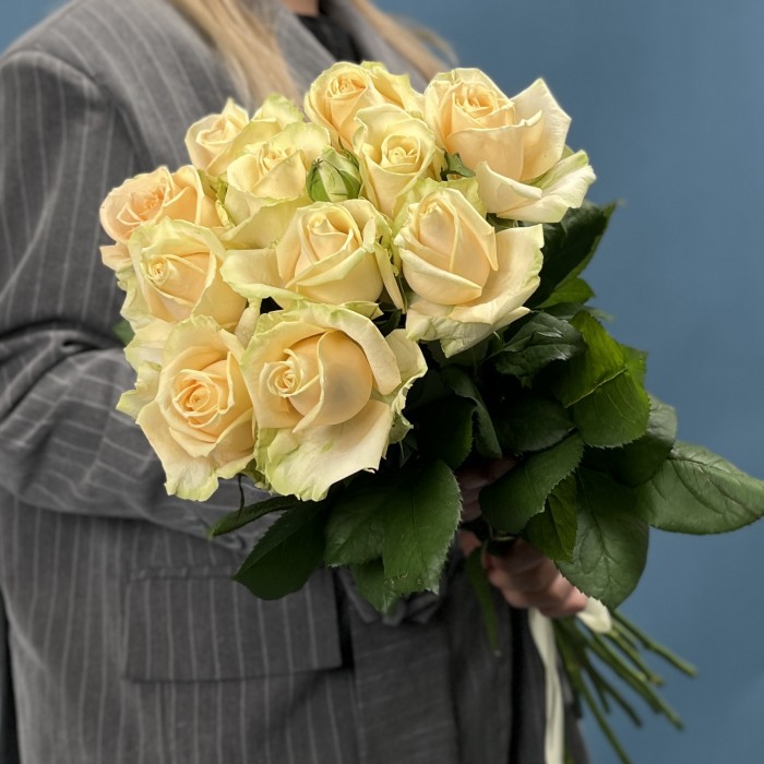 11 персиковых роз Пич Аваланш 60 см