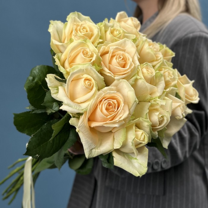 15 роз пич Аваланш 60 см