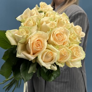 15 роз пич Аваланш 60 см