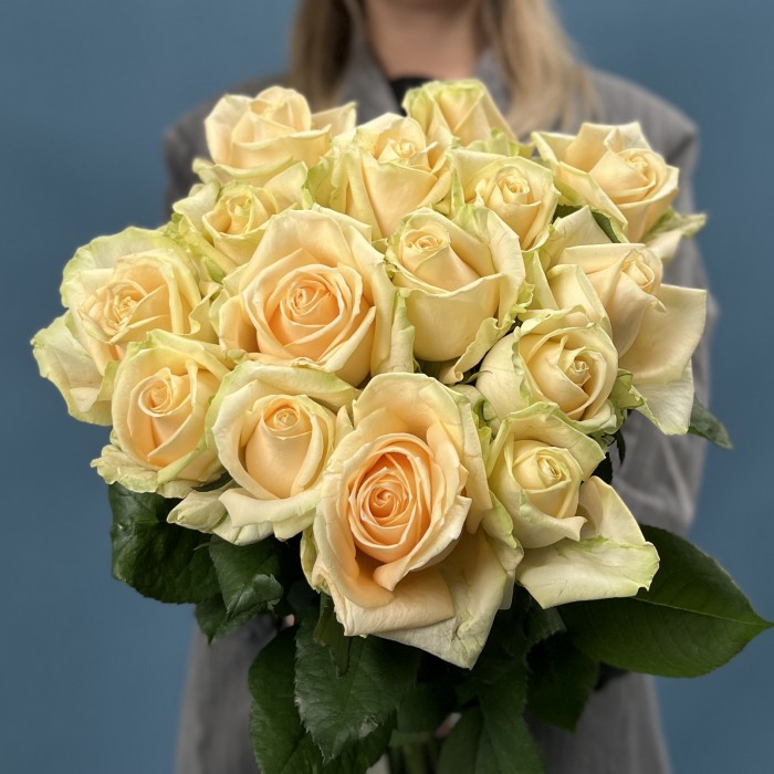 15 роз пич Аваланш 60 см