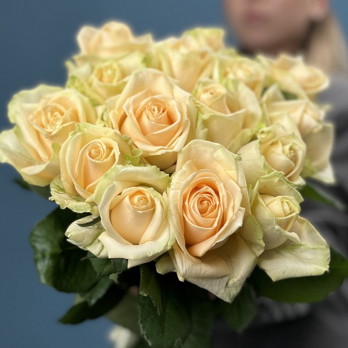 15 роз пич Аваланш 60 см