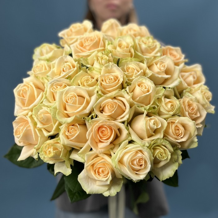 35 персиковых роз Пич Аваланш 60 см