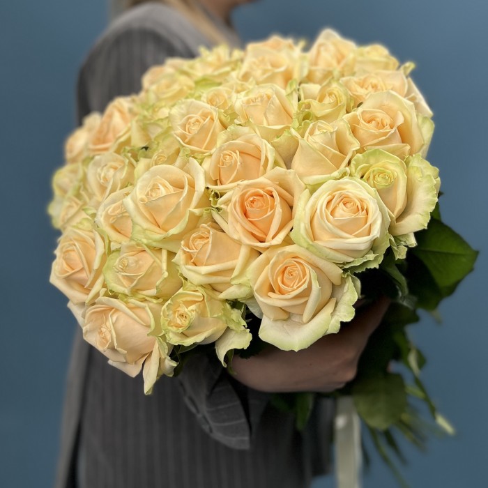 35 персиковых роз Пич Аваланш 60 см