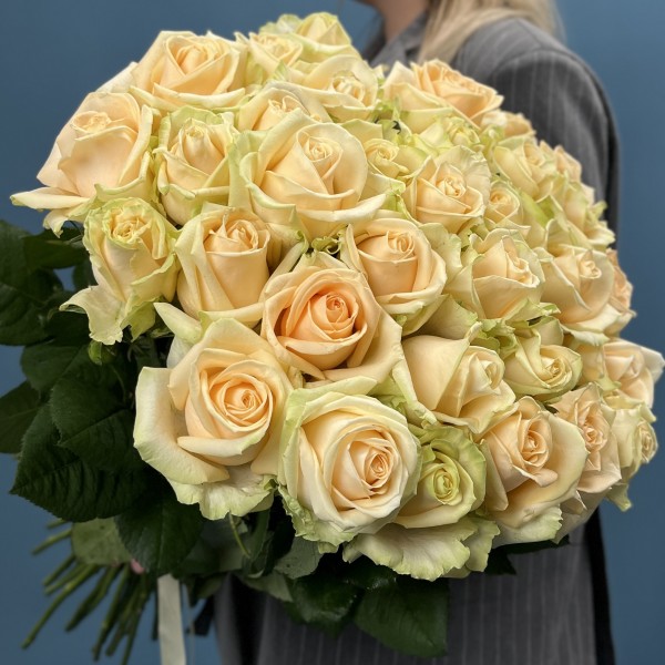 35 персиковых роз Пич Аваланш 60 см