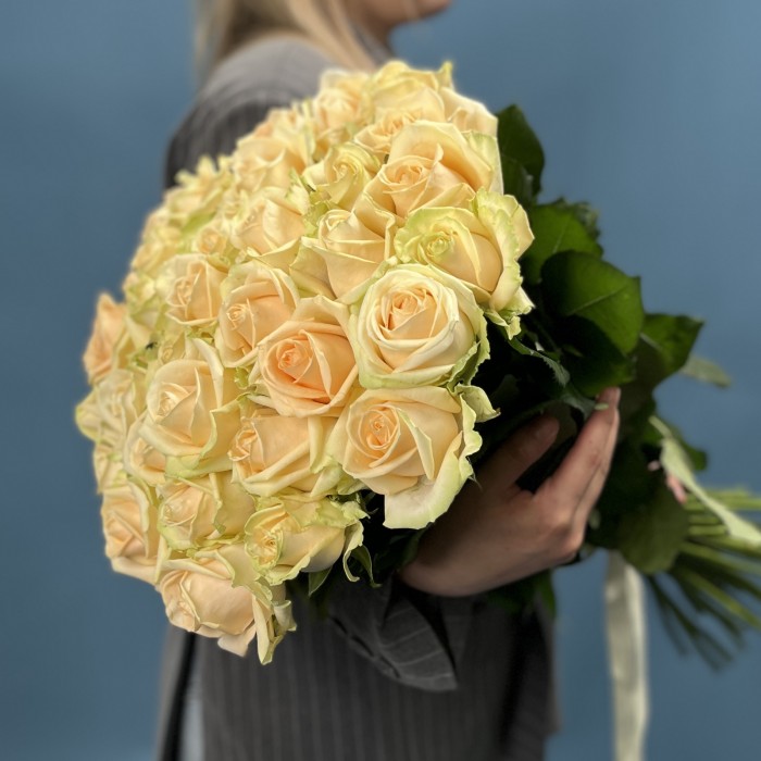 35 персиковых роз Пич Аваланш 60 см