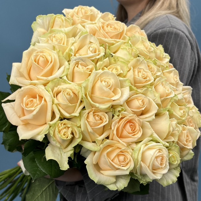 35 персиковых роз Пич Аваланш 60 см