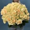 45 персиковых роз Пич Аваланш 60 см