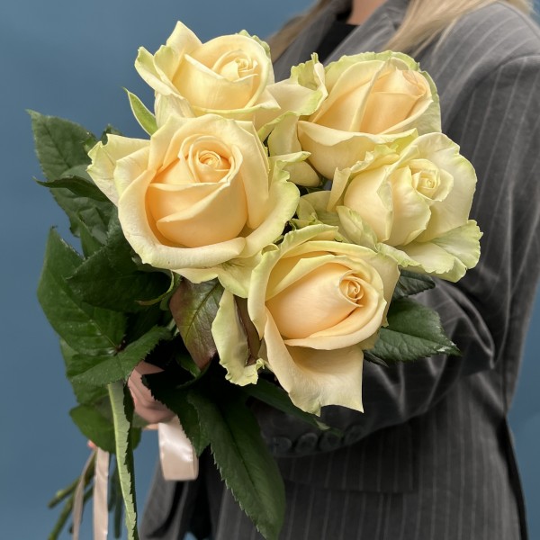 5 роз Пич Аваланш 60 см