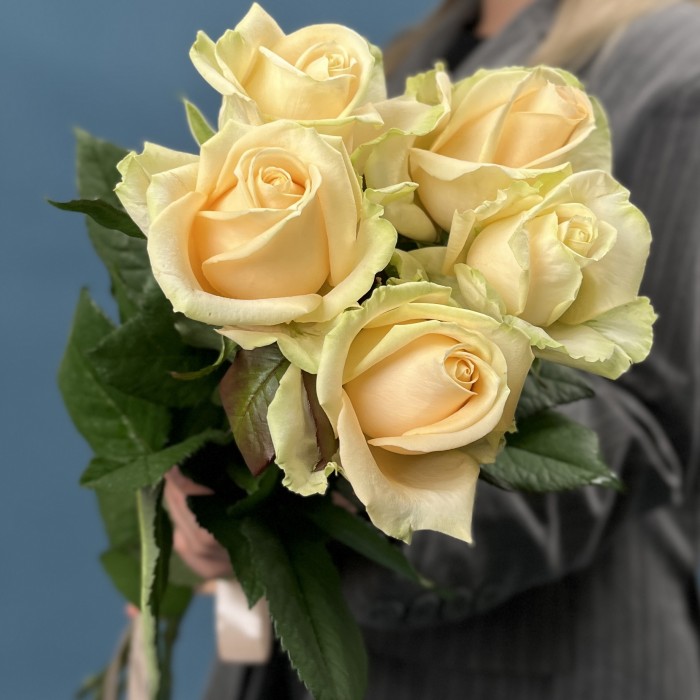 5 роз Пич Аваланш 60 см