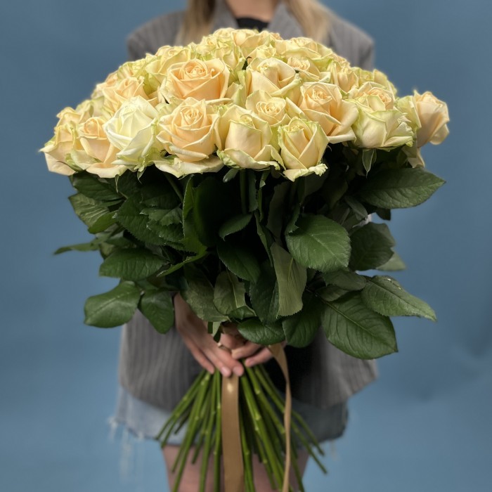 51 Роза пич Аваланш 70 см