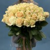 51 Роза пич Аваланш 60 см
