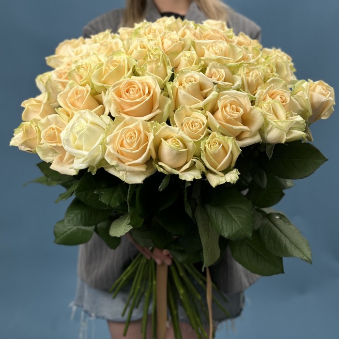 51 Роза пич Аваланш 70 см