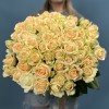 51 Роза пич Аваланш 60 см