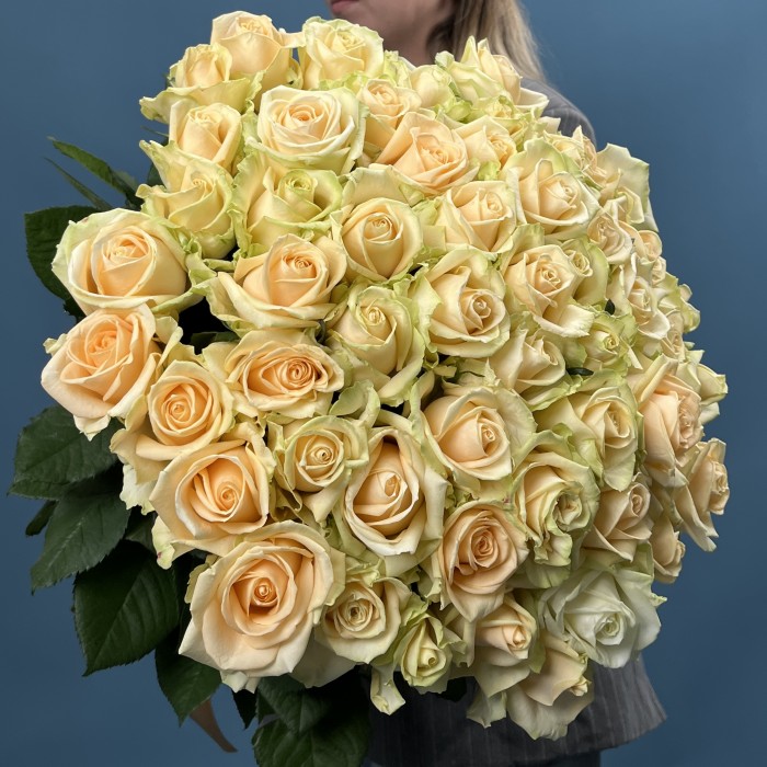 51 Роза пич Аваланш 70 см