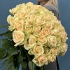 51 Роза пич Аваланш 60 см