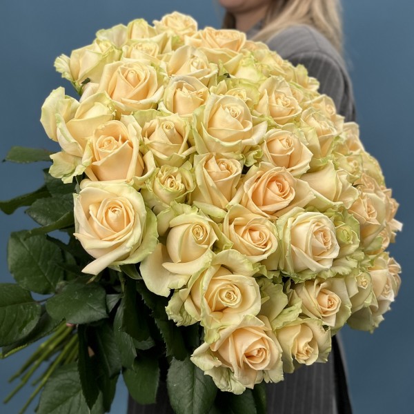 51 Роза пич Аваланш 70 см