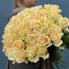 51 Роза пич Аваланш 60 см