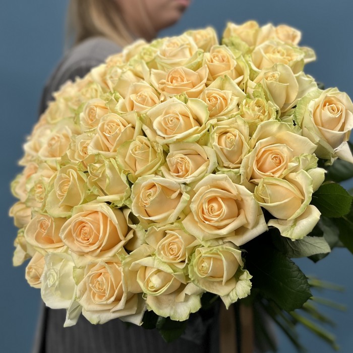 51 Роза пич Аваланш 70 см