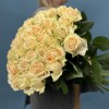 51 Роза пич Аваланш 60 см