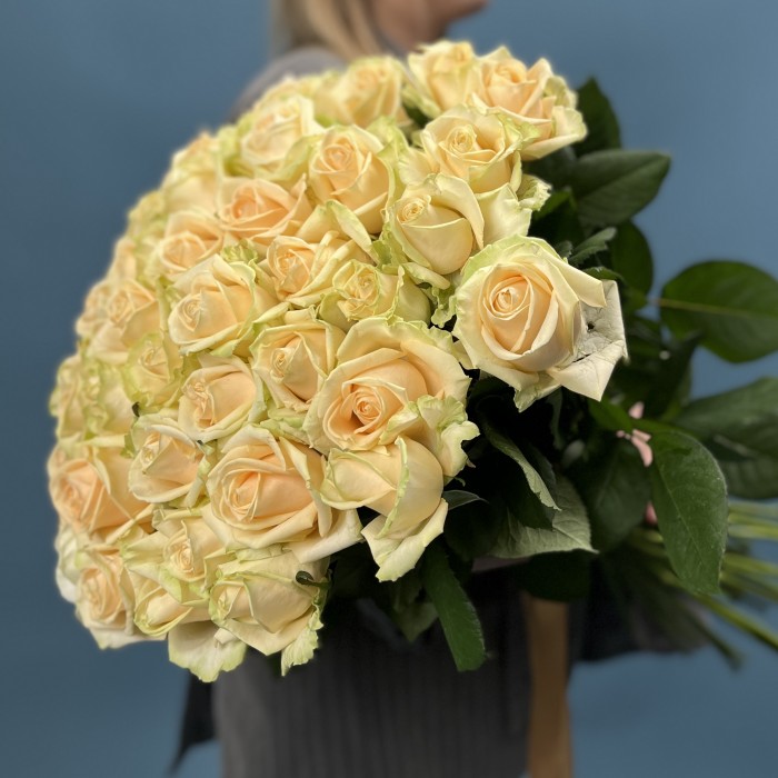 51 Роза пич Аваланш 70 см