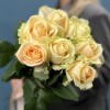 7 роз пич Аваланш 70 см