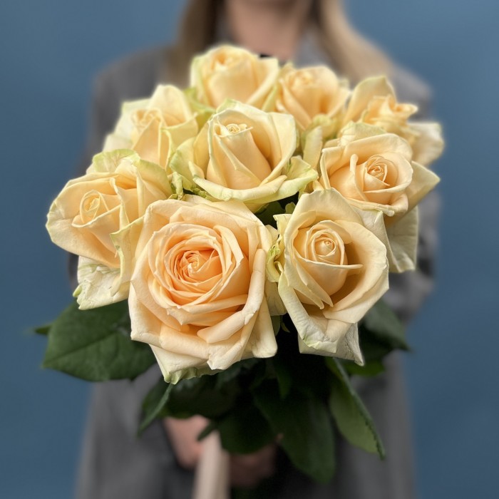 9 персиковых роз Пич Аваланш 60 см