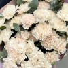 35 персиковых гвоздик с эвкалиптом