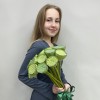 Лотос