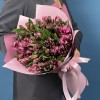 15 фиолетовых альстромерий