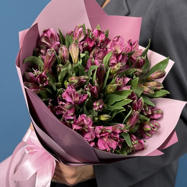 15 фиолетовых альстромерий