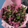 15 фиолетовых альстромерий