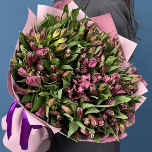 25 фиолетовых альстромерий