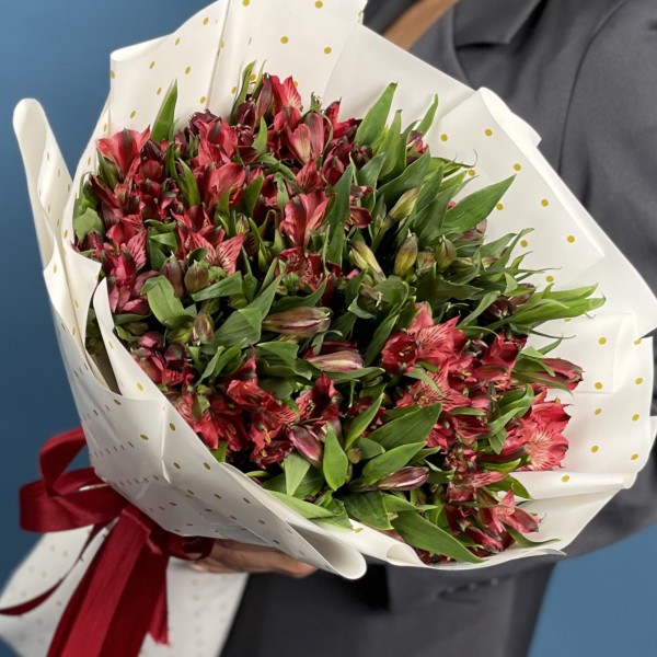 25 красных альстромерий