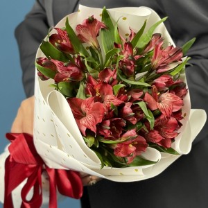 5 красных альстромерий