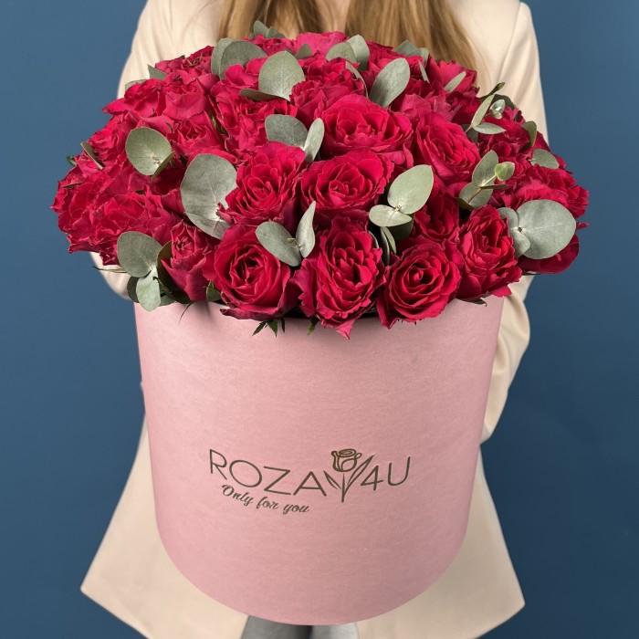 51 малиновая роза Такаци с эвкалиптом в коробке