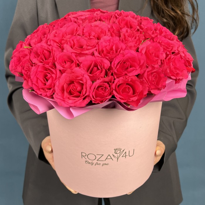 51 малиновая роза Такаци в коробке