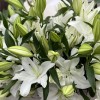 25 белых Восточных Лилий