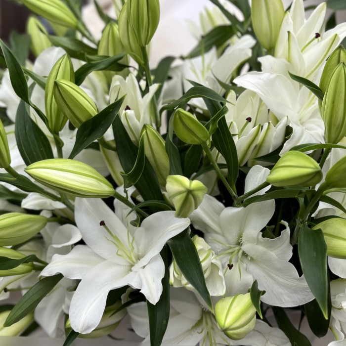 25 белых Восточных Лилий
