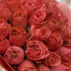 25 роз 50 см Корал Экспрешен