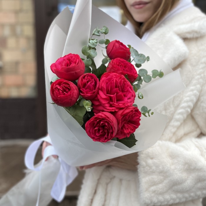 3 красные пионовидные кустовые розы Ред Пиано 40 см