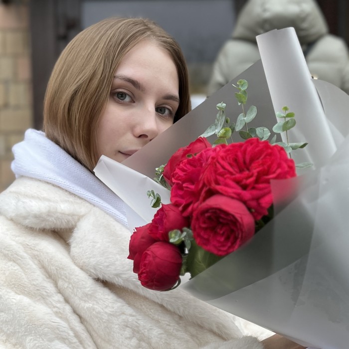 3 красные пионовидные кустовые розы Ред Пиано 40 см