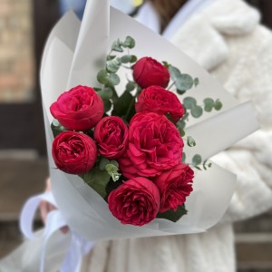 3 красные пионовидные кустовые розы Ред Пиано 40 см