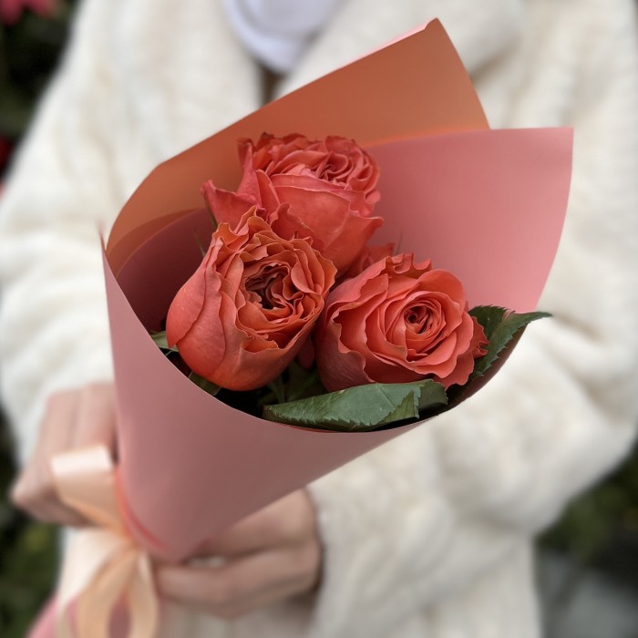3 розы  Корал Экспрешен 50 см
