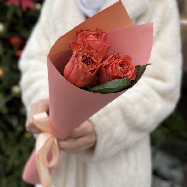3 розы  Корал Экспрешен 50 см
