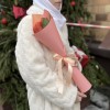 3 розы  Корал Экспрешен 50 см