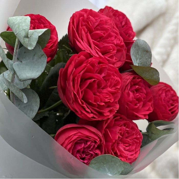 5 красных пионовидных роз Ред Пиано 70 см