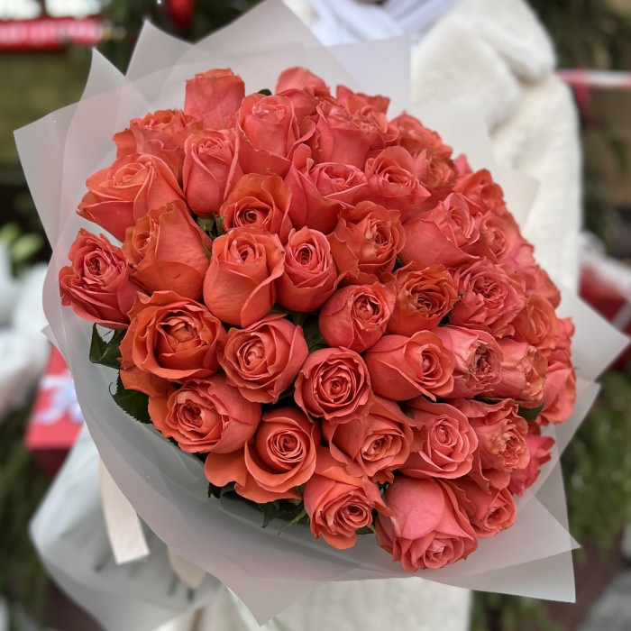 51 Роза Корал Экспрешен 50 см